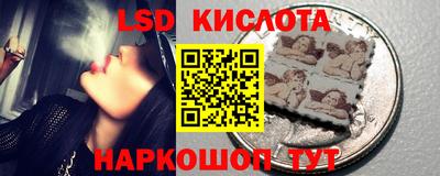 прущие грибы Кингисепп