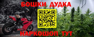 прущие грибы Кингисепп